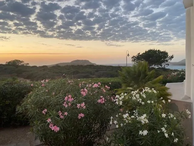 La Curiazza 13 スティンティーノ